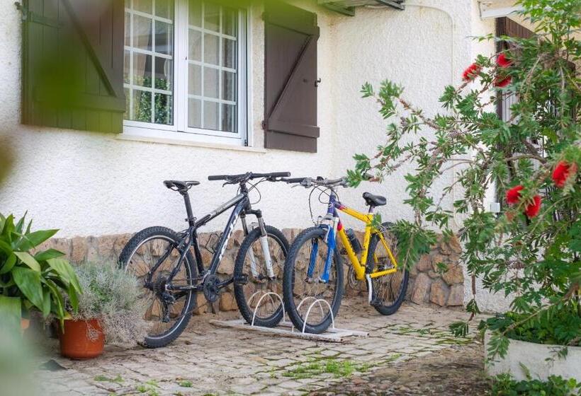 ベッドアンドブレックファースト Amendoeirashouse