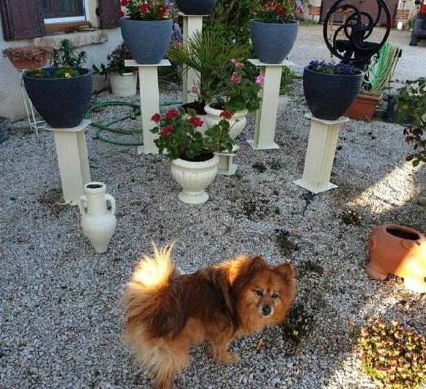 צימר Chambres Et Table D Hôtes Les Grivottes