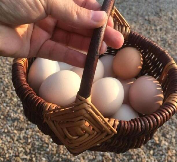 צימר Chambres Et Table D Hôtes Les Grivottes