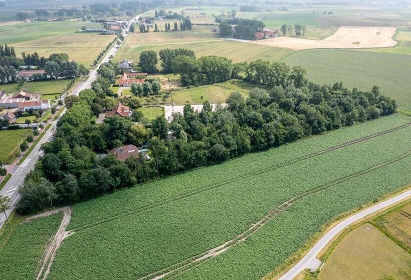 Bed and Breakfast De Rietreiger