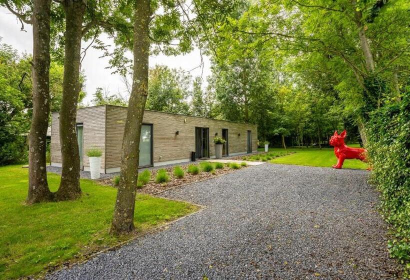 Bed and Breakfast De Rietreiger