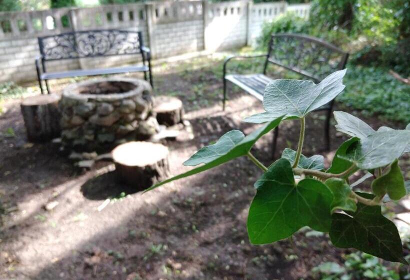 Bed and Breakfast Diana Panzió