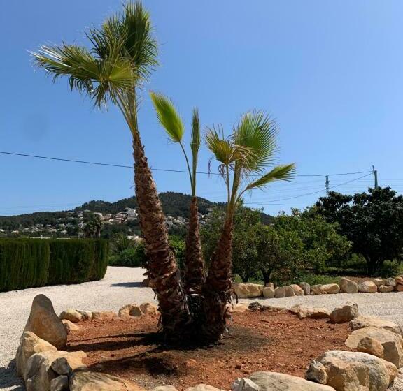 تختخواب و صبحانه Finca Bona Nit