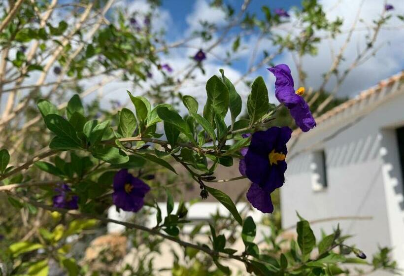 تختخواب و صبحانه Finca Bona Nit