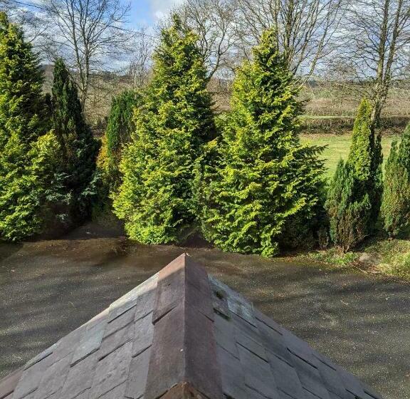 مبيت وإفطار Glan Brennig