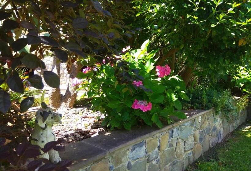 ベッドアンドブレックファースト Jasmine Cottage