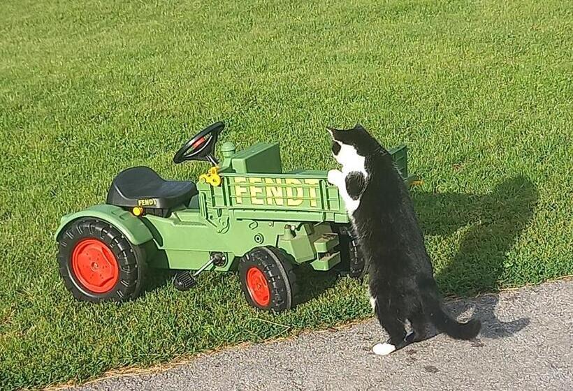 צימר Köstlhof, Familie Hassler