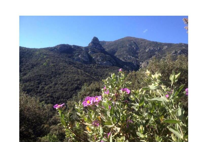 住宿加早餐 L Abri La Vall