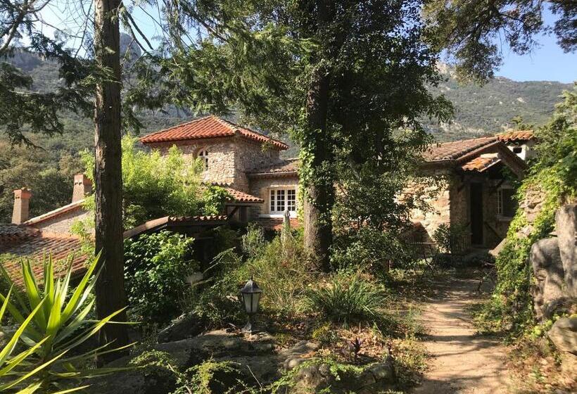 住宿加早餐 L Abri La Vall