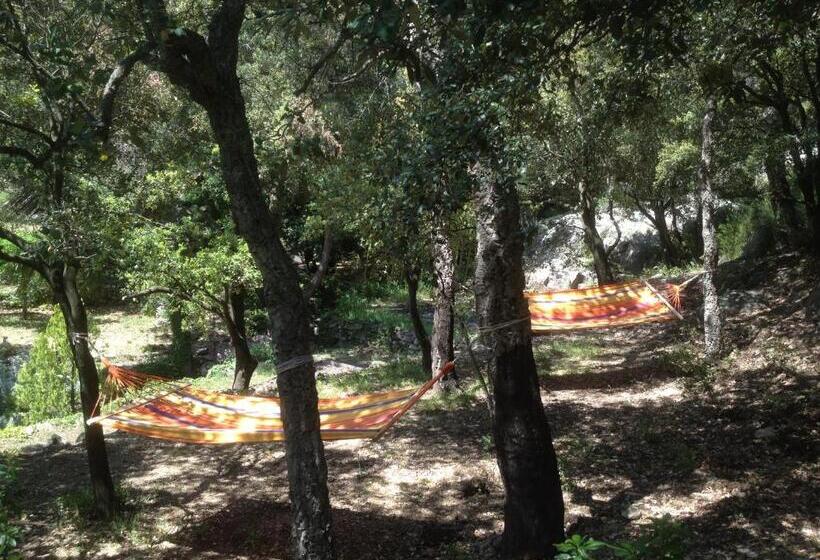 住宿加早餐 L Abri La Vall