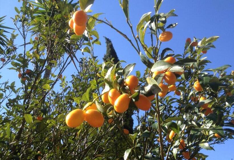 住宿加早餐 L Abri La Vall