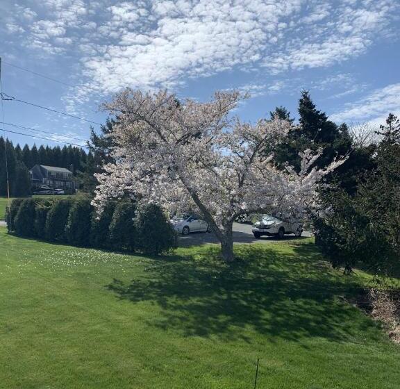 مبيت وإفطار Large Modern Private Suite By The Sea  Birders Paradise