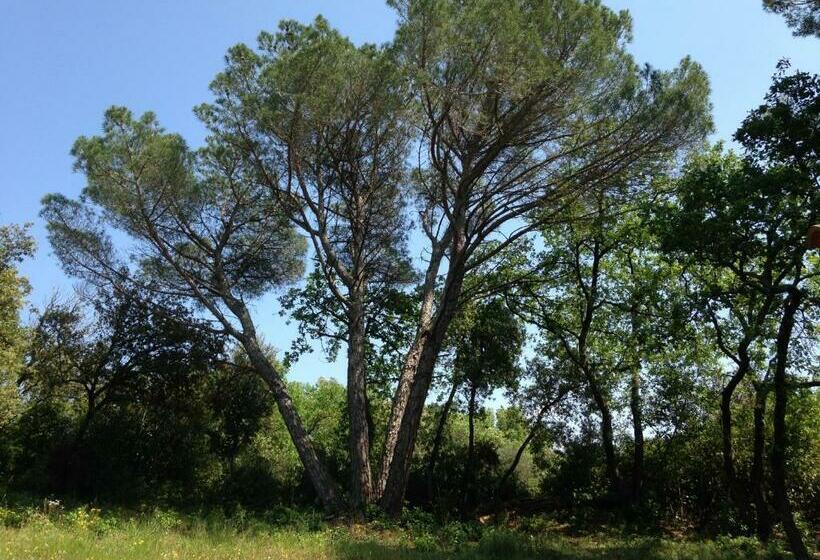 ベッドアンドブレックファースト Les Marguerites