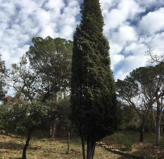 ベッドアンドブレックファースト Les Marguerites