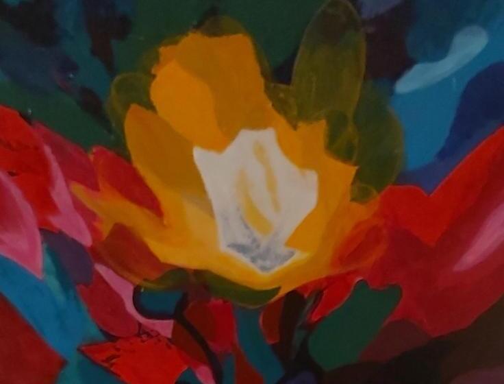 Bed and Breakfast Luxury Suites Oosterwold