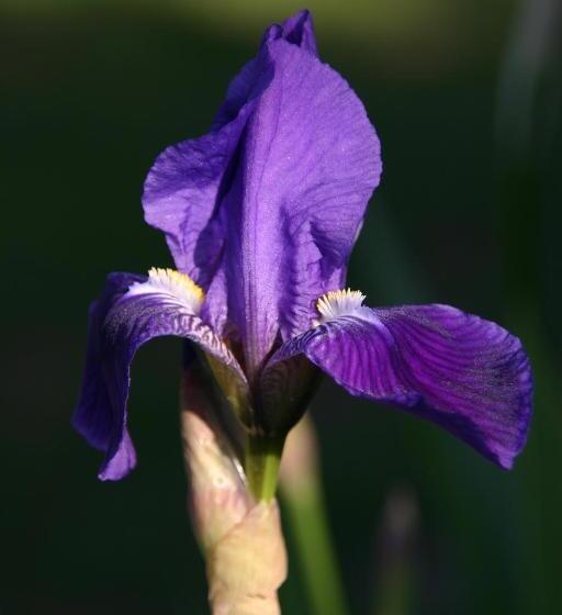 민박 Mas De La Giralde