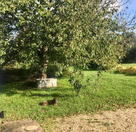 Bed and Breakfast Moulin Sous La Vergne