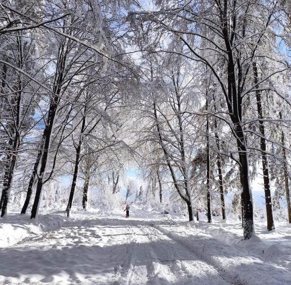민박 Petites Tailles   Chambre D Hôtes