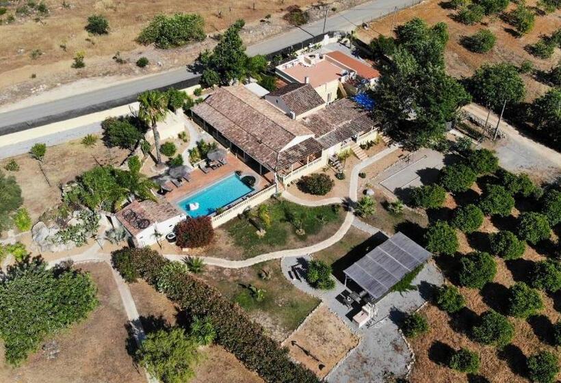 住宿加早餐  Quinta Pereiro Tropic Garden, Algarve