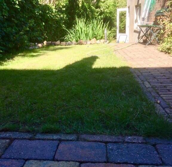 تختخواب و صبحانه Back Stage