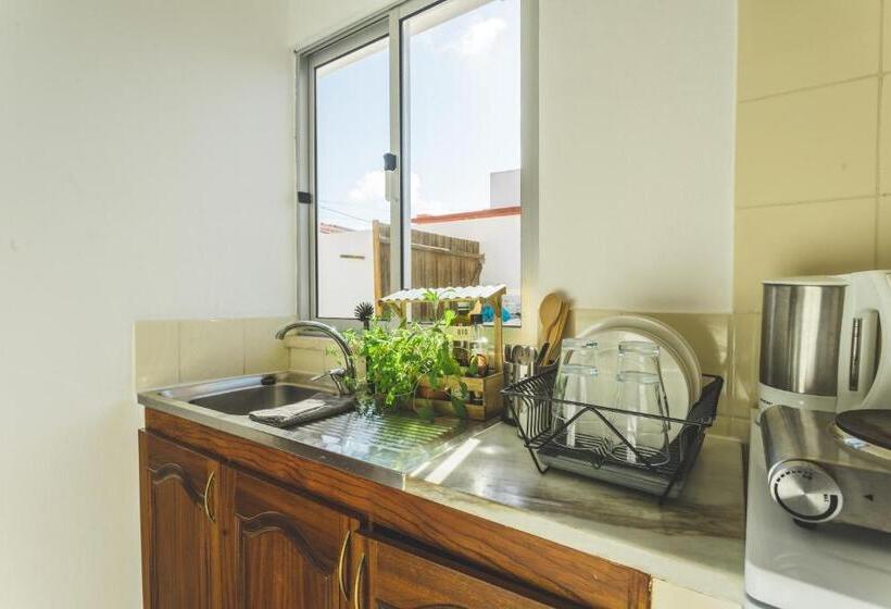 تختخواب و صبحانه Soulsurfcamp Portugal