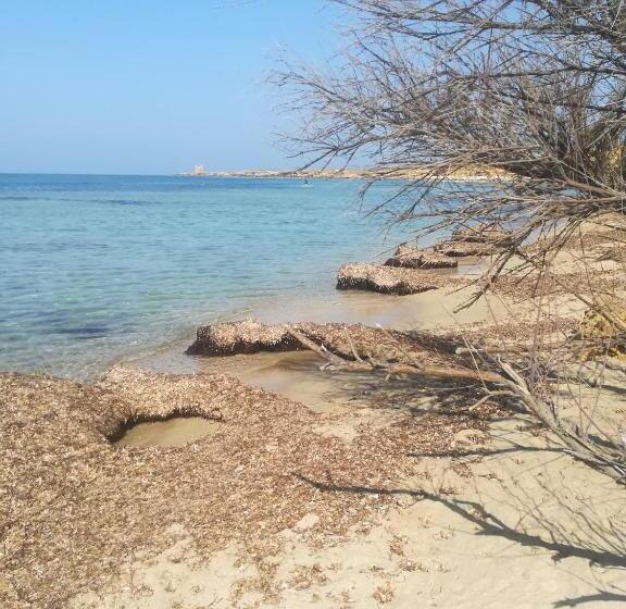 צימר Sunset Cottage