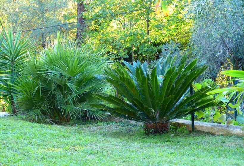 צימר ô Tilia D Azur