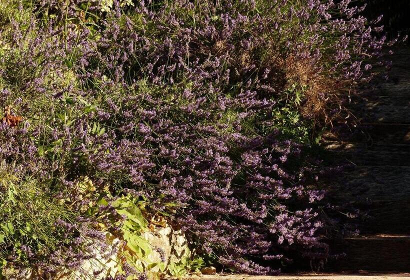 צימר ô Tilia D Azur