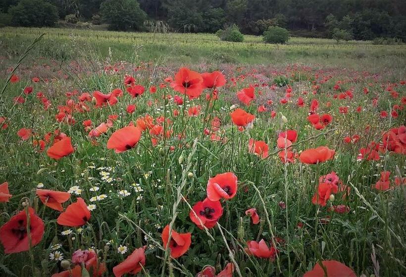 ベッドアンドブレックファースト Une Chambre En Luberon
