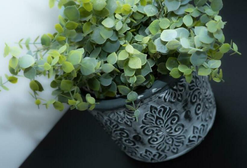 Bentley House With En Suites