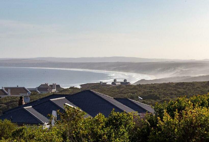 Erika27 Top B&b Choice