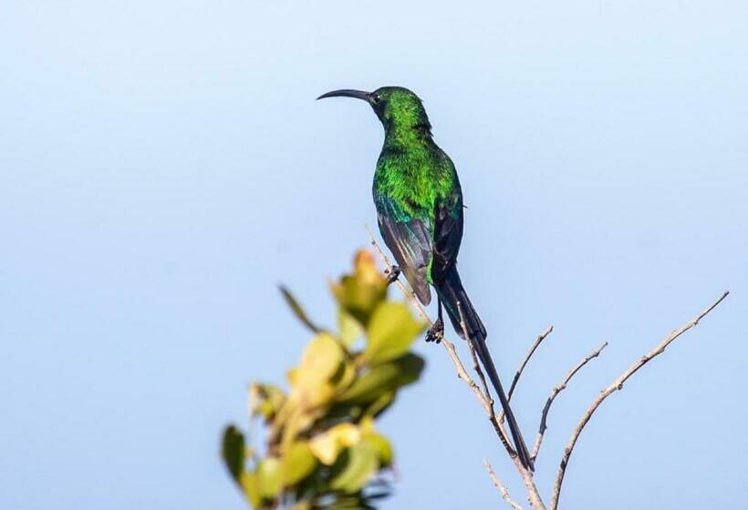 Erika27 Top B&b Choice