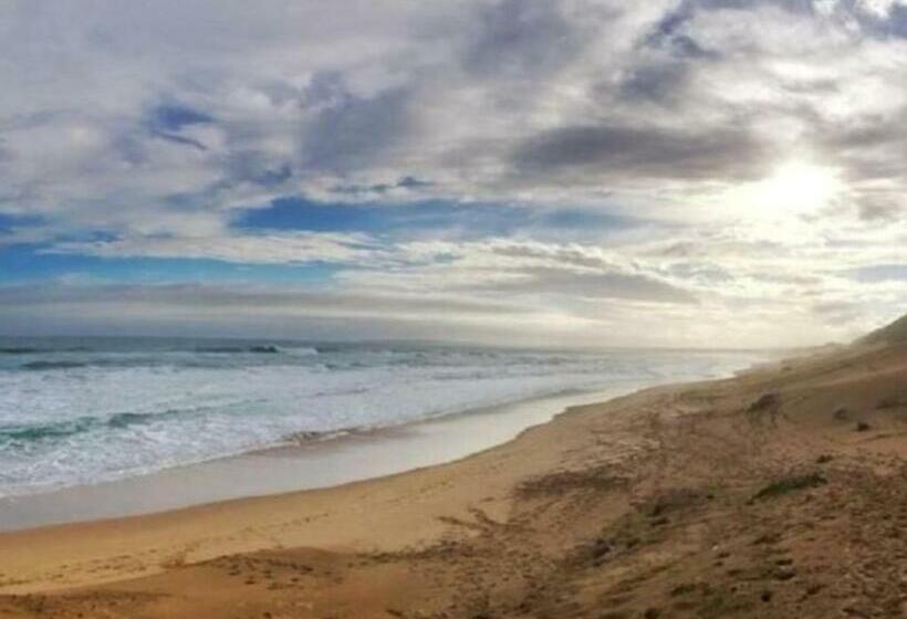 Erika27 Top B&b Choice