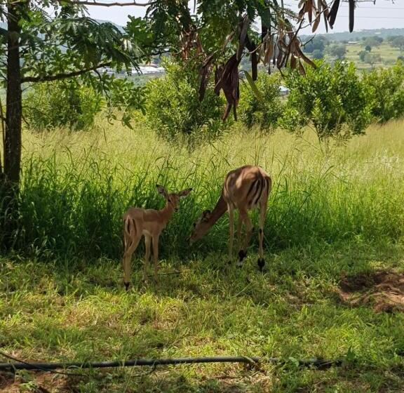 فندق A Farm Stay   Casablanca S Private Cottage,no Loadshedding!