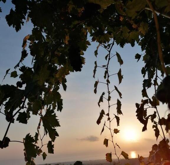 Отель Agriturismo Baglio Calanchi