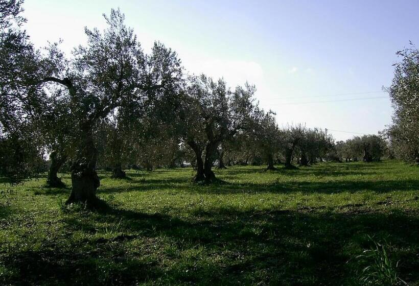 Отель Agriturismo Baglio Calanchi