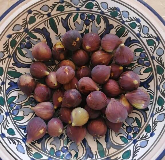 Отель Agriturismo Baglio Calanchi