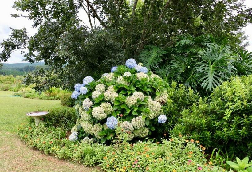 ホテル Lakeview Cottages