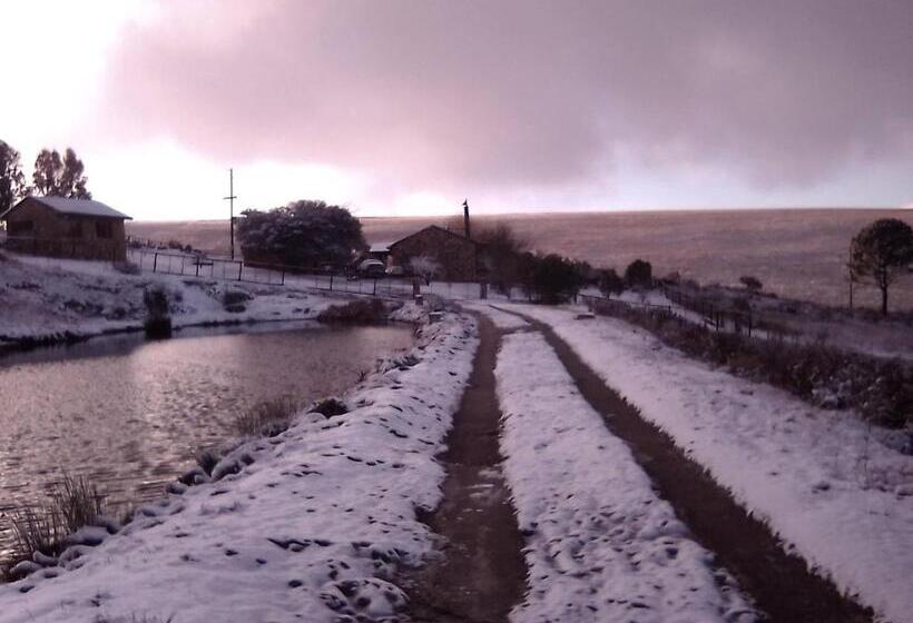 בית מלון כפרי Moonlight Meadows Just Outside Dullstoom