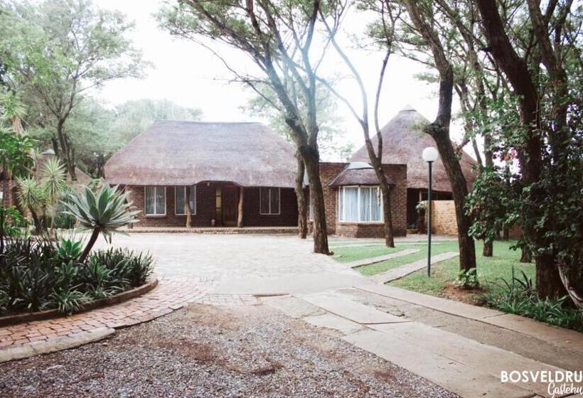 ペンション Bosveldrus Gastehuis