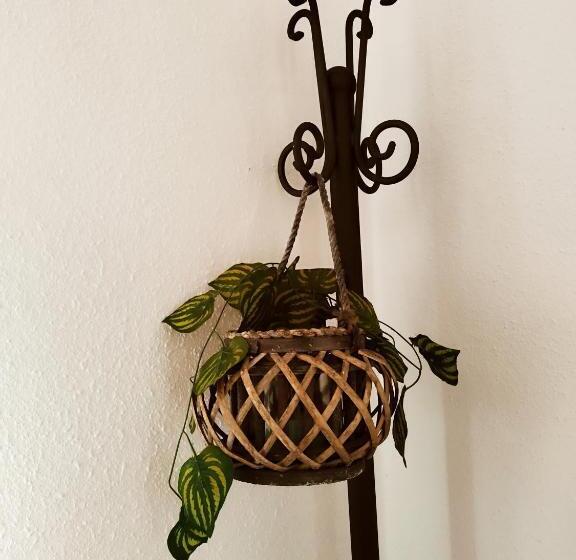 بنسيون Casapatrizia Appartamento Compartido