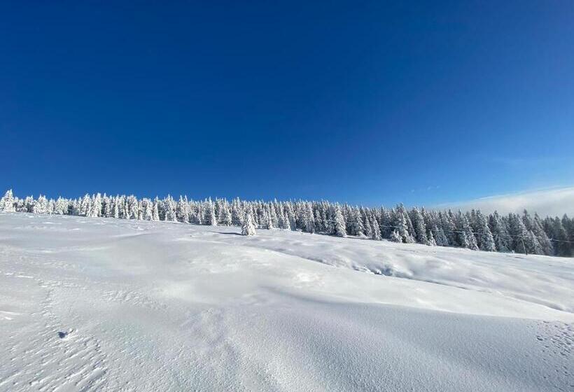 Пансион Horská Bouda Kuprovka