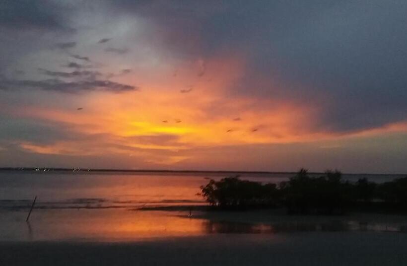 Пансион Hostel Maiandeua