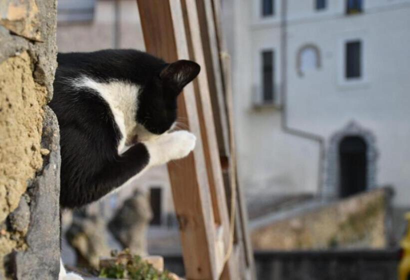 بنسيون Il Cortile Del Castello