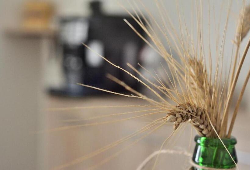 פנסיון La Gravina