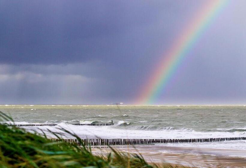 پانسیون Singel 9