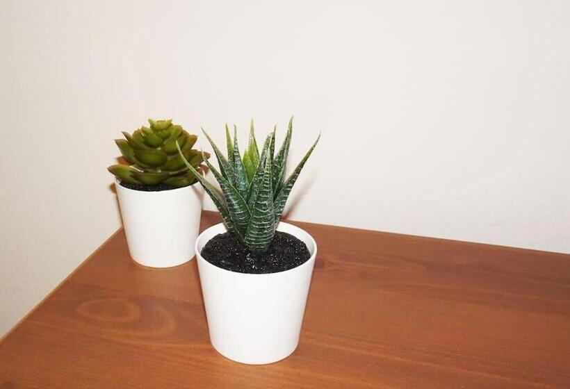 پانسیون Smart Rooms Pistoia