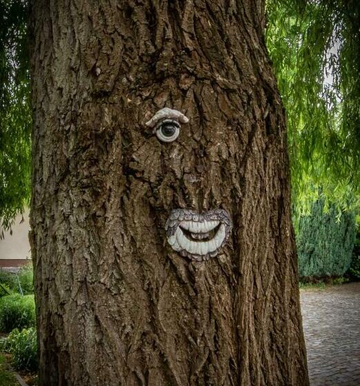 פנסיון Storchennest Spreewald