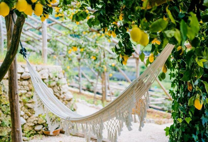 بنسيون Villa Le Murelle