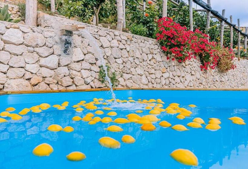 بنسيون Villa Le Murelle